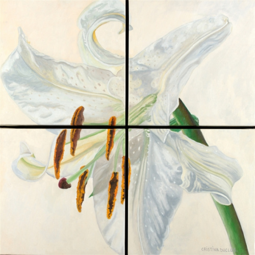 Lilium blanco., Cristina Duclós
