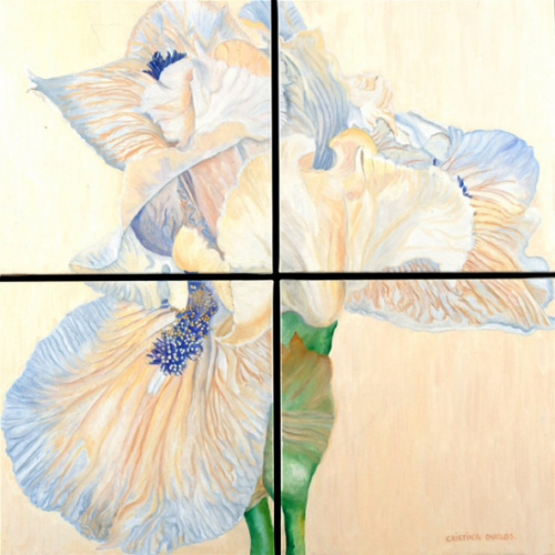 Iris blanco., Cristina Duclós
