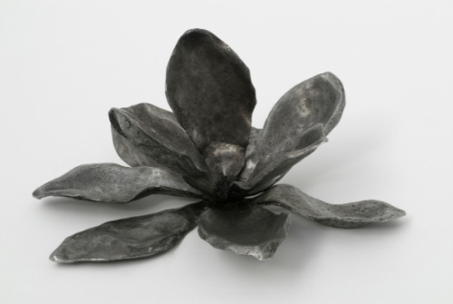 Magnolia negra., Cristina Duclós