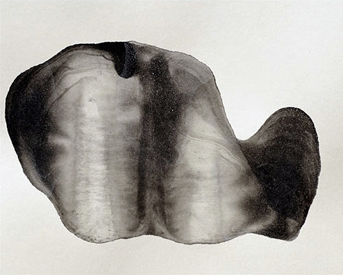 S/T XXIII, Guillermo Fernández-Díez