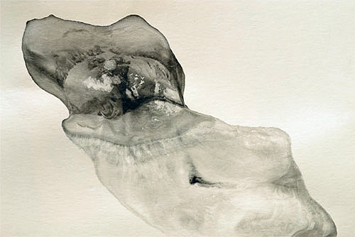 S/T VIII, Guillermo Fernández-Díez