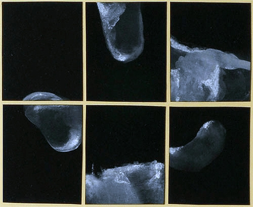 S/T VII, Guillermo Fernández-Díez