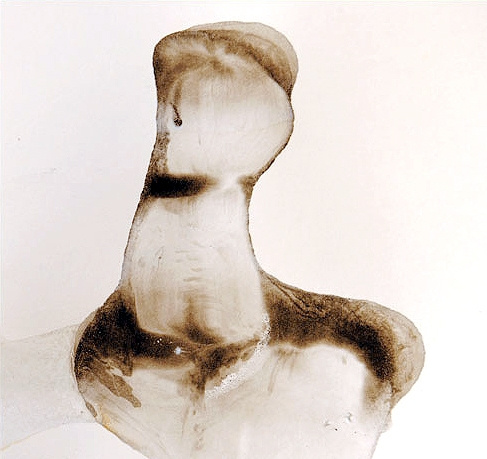 S/T XXIV, Guillermo Fernández-Díez