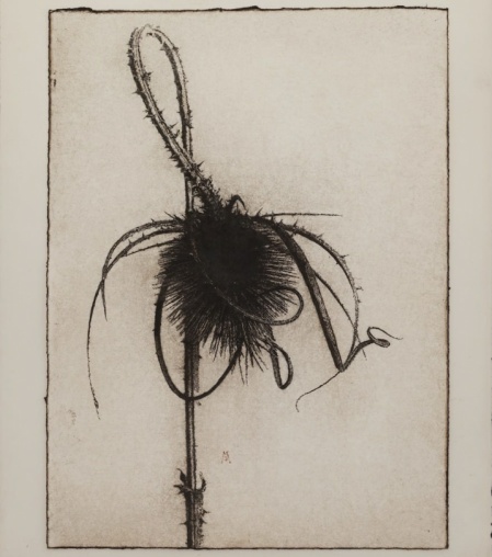 Cardo II, Marta de la Sota