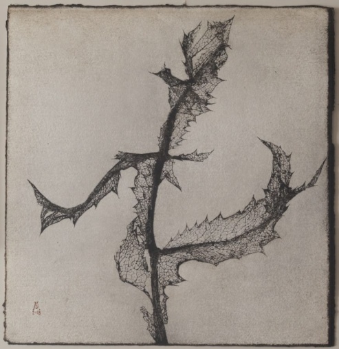 Hoja de cardo I, Marta de la Sota