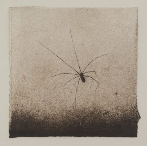 Araña I, Marta de la Sota
