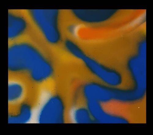 S/T