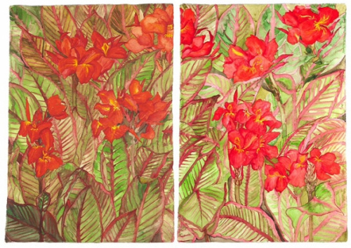 Cannas., Cristina Duclós