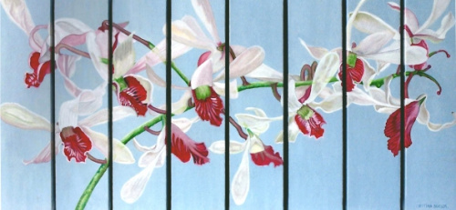 Orquideas Demdrobium., Cristina Duclós
