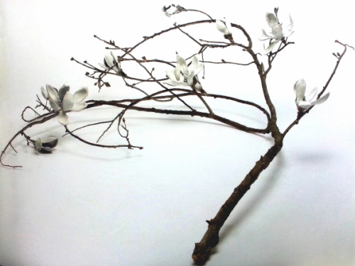 Rama de Magnolio I, Cristina Duclós