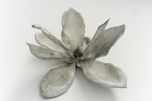 Magnolia blanca I, Cristina Duclós