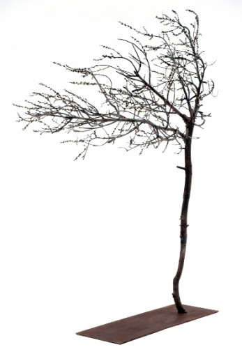 Arbol vencido por el viento., Cristina Duclós