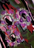 S/T