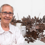 Manuel Valdés Blasco